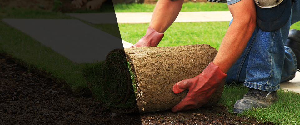 Donaldsonville Landscapers